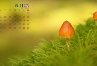 ​消防应急演练活动总结