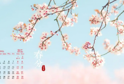 ​政务公开工作总结