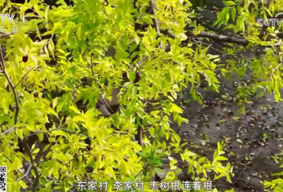 ​高一月考总结