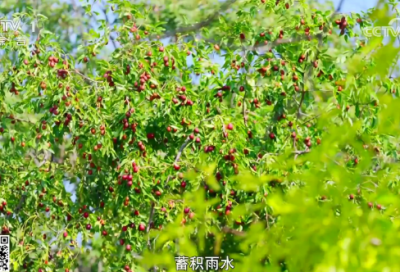 ​季度个人工作总结