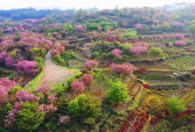 ​医药销售个人总结