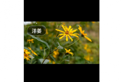 ​月考总结周记