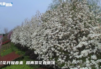 ​英语教学总结