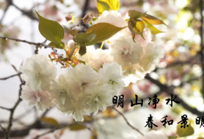 ​一周工作总结
