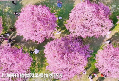 ​药店工作总结