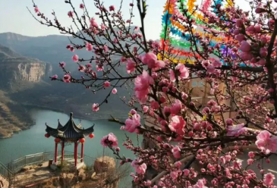 ​元旦新年祝福语