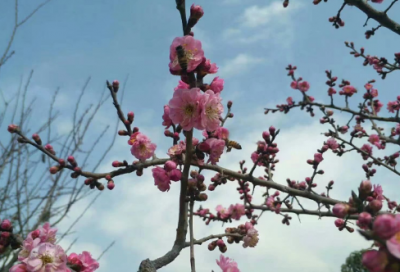 ​主持人年会的开幕词