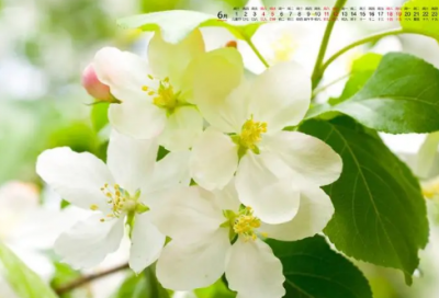 ​装修公司正规合同