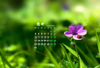 ​公司培训心得体会