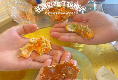​烛之武退秦师教案