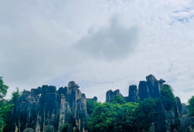 ​承诺的600字作文