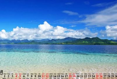 ​《小鱼的梦》大班教案