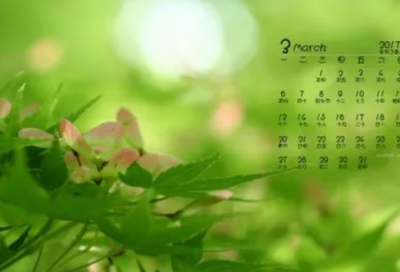 ​鸡兔同笼教案