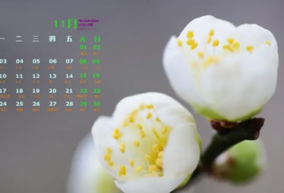 ​《小青蛙找家》教案