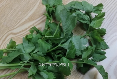 ​歌唱二小放牛郎教案
