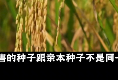 ​《走月亮》教案
