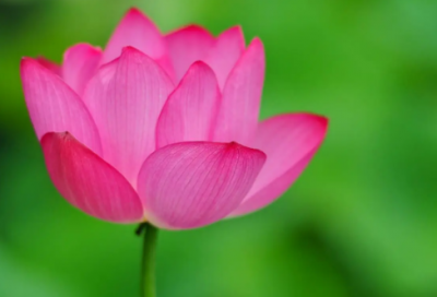 ​绝句教案