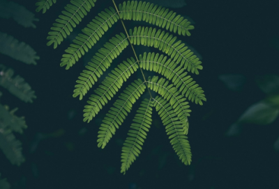 ​两位数加两位数的进位加教案