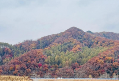 ​写给幼儿园老师的话优选好句51句