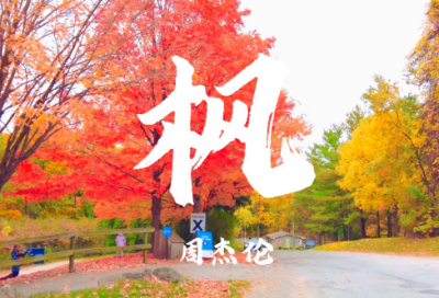 ​细节描写的片段精选好句29句