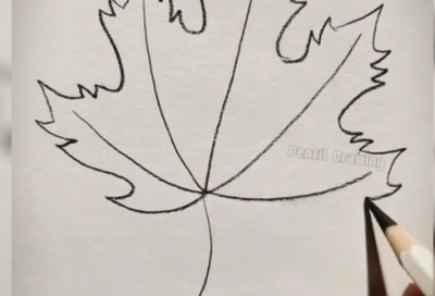 ​小王子好句好段摘抄精选37句