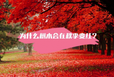 ​写给儿子的话优选好句47句