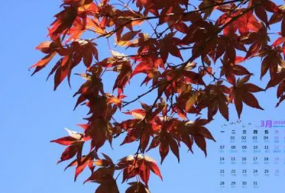 ​520表白浪漫情话大全优选好句65句