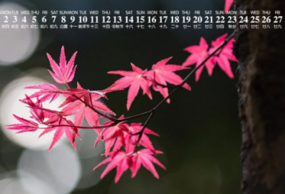 ​小楼昨夜又东风优选好句37句