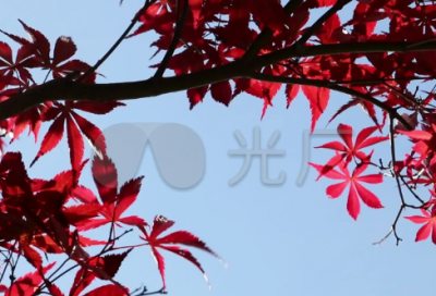 ​豪言壮语优选好句40句