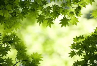 ​520对女朋友说的情话优选好句140句