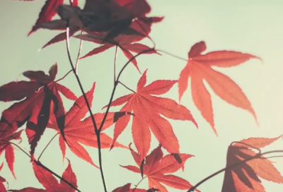 ​空虚寂寞优选好句43句