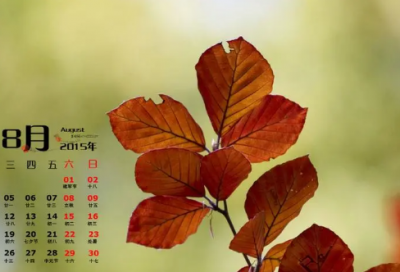 ​月儿弯弯照九州精选好句63句