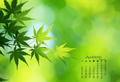 ​小学生新年愿望好句
