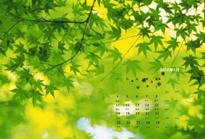 ​小学一年级好词好句大全精选34句