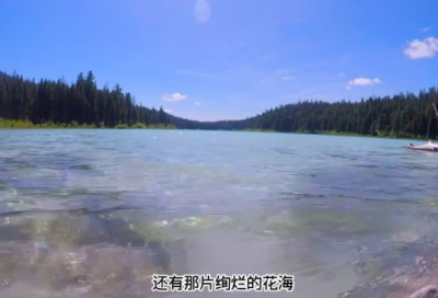 ​挂村工作总结34篇