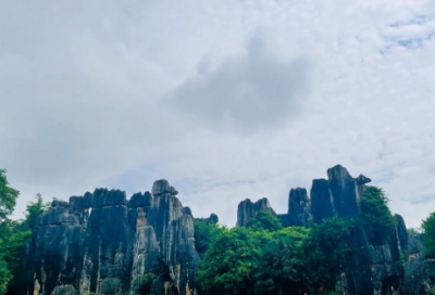 ​企业工作总结范文精选15篇