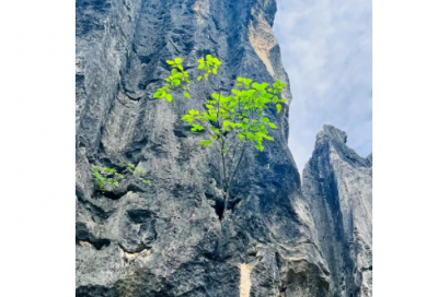 ​业务工作联系函范文(推荐34篇)