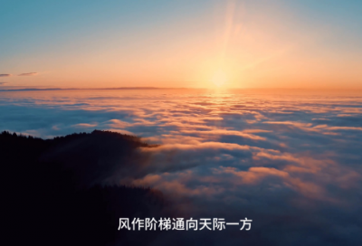 ​个人工作经历范文(精选二十篇)