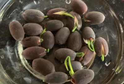 ​每日工作描述简短范文优选22篇
