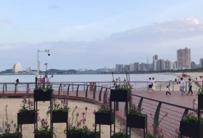 ​八年级上册语文教学计划
