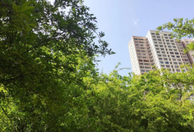 ​《三角形的分类》教学反思