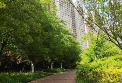 ​九年级物理教学计划
