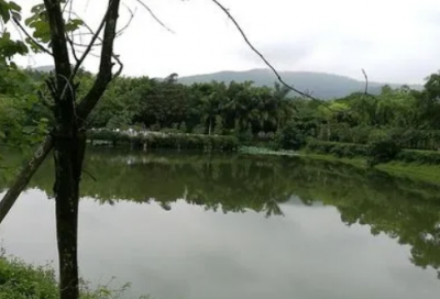 ​四季教学反思