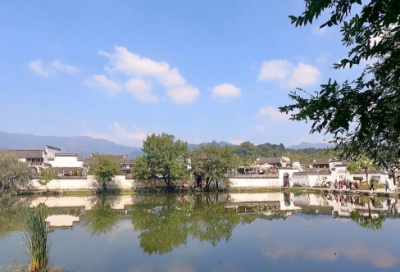 ​《我的长生果》教学反思