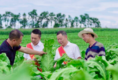 ​《纸的发明》教学反思