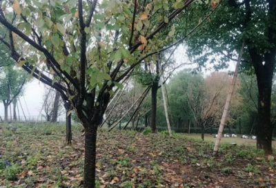 ​《怎么都快乐》教学反思