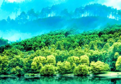 七年级下册历史教学计划13篇