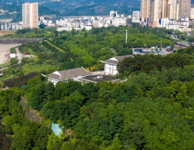 《父亲的菜园》教学反思（精选12篇）