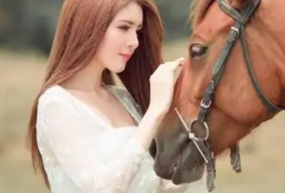 ​小暑2026最新好句好段