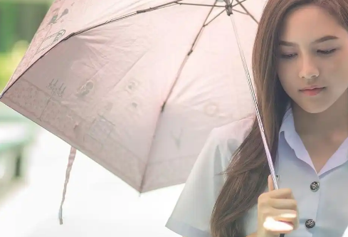 1766574558729569.png image.png